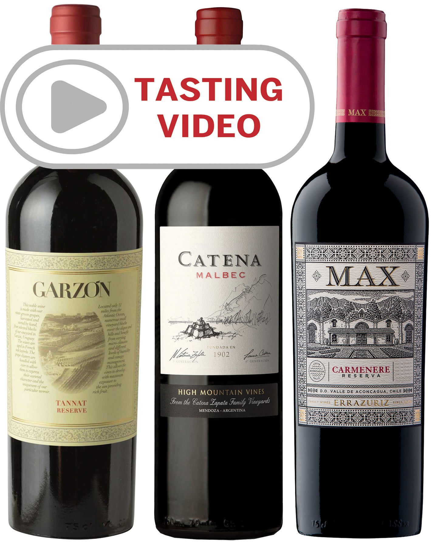 South American Wine Tour with Tasting Video