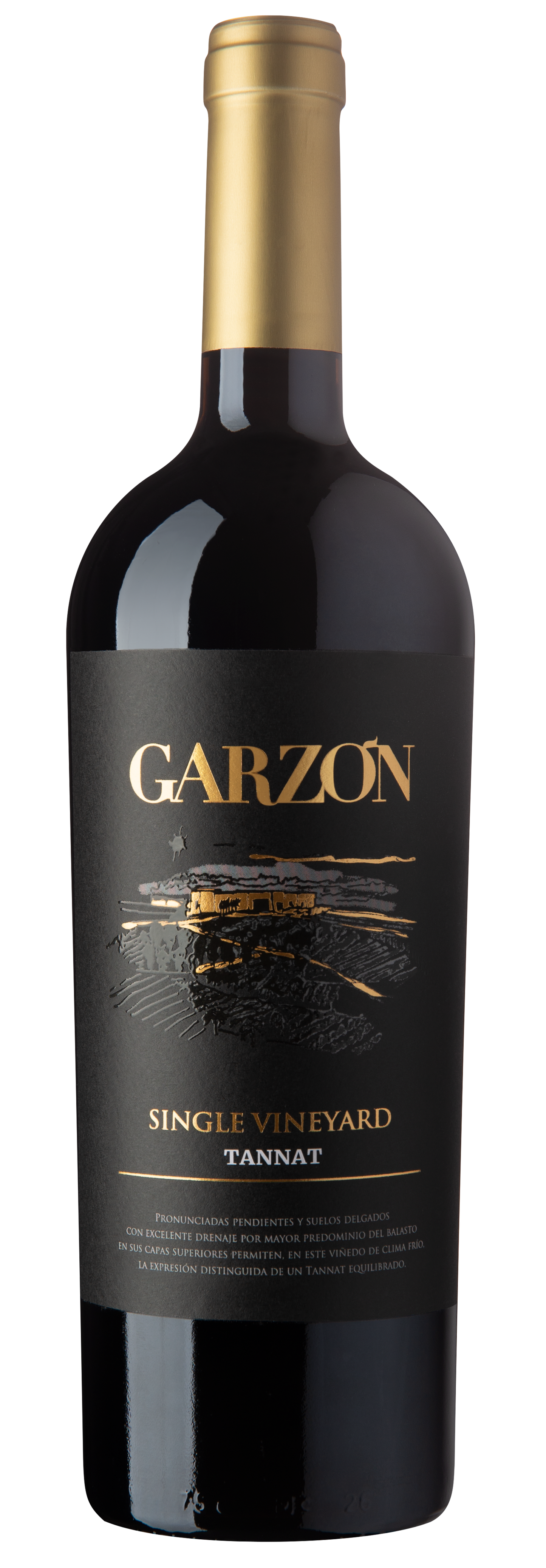 Bodega Garzon Uruguay Single Vineyard Tannat 2020 Front Bottle Shot