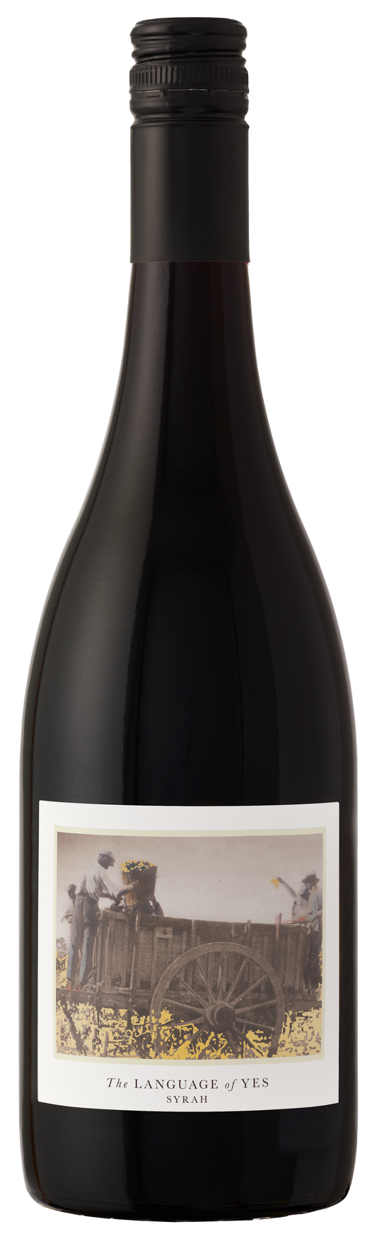 The Language of Yes Syrah 2022  Front Bottle Shot