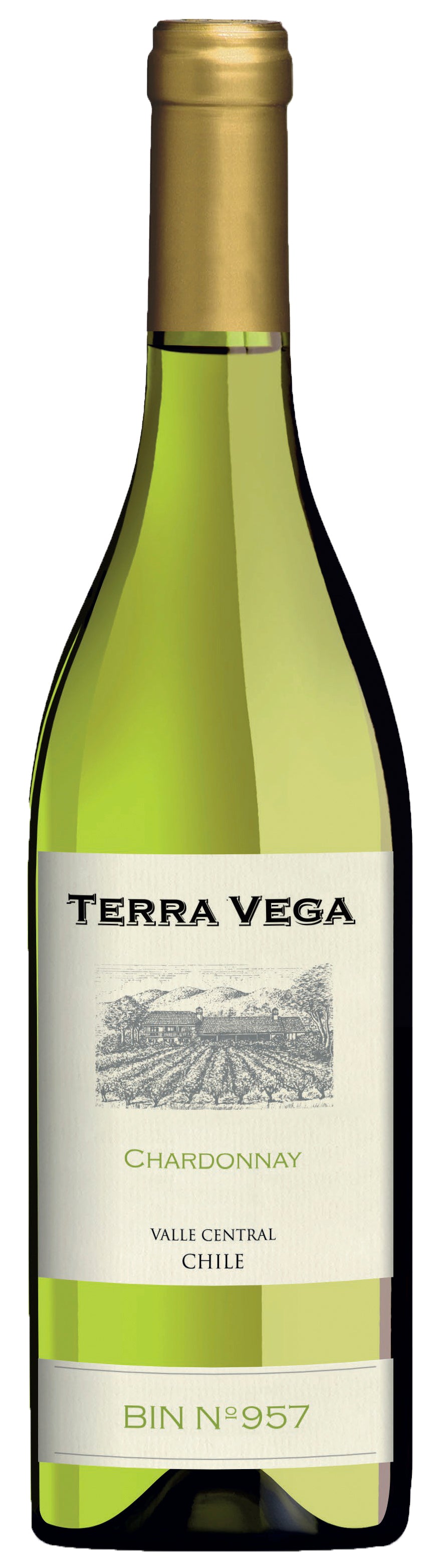 Terra Vega Chardonnay (OU Kosher) 2023 Front Bottle Shot