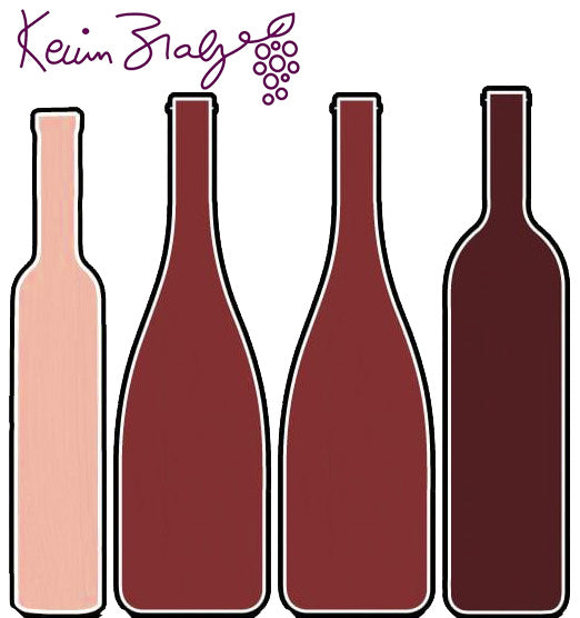 Kevin Zraly's One Hour French Red Wine Expert Tasting Kit