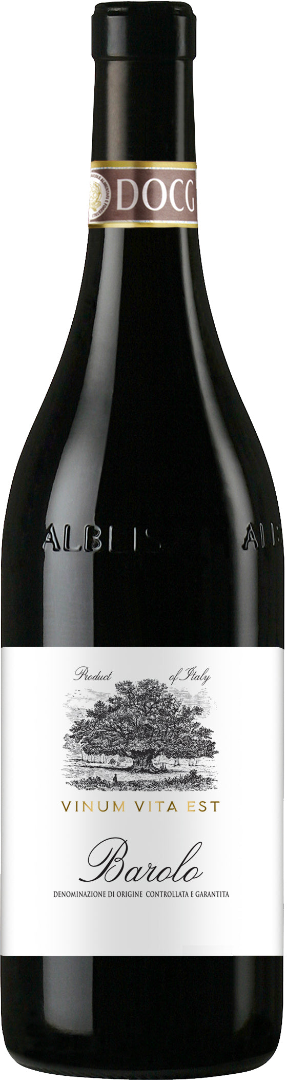 Terre del Barolo Vinum Vita Est Barolo 2017  Front Bottle Shot