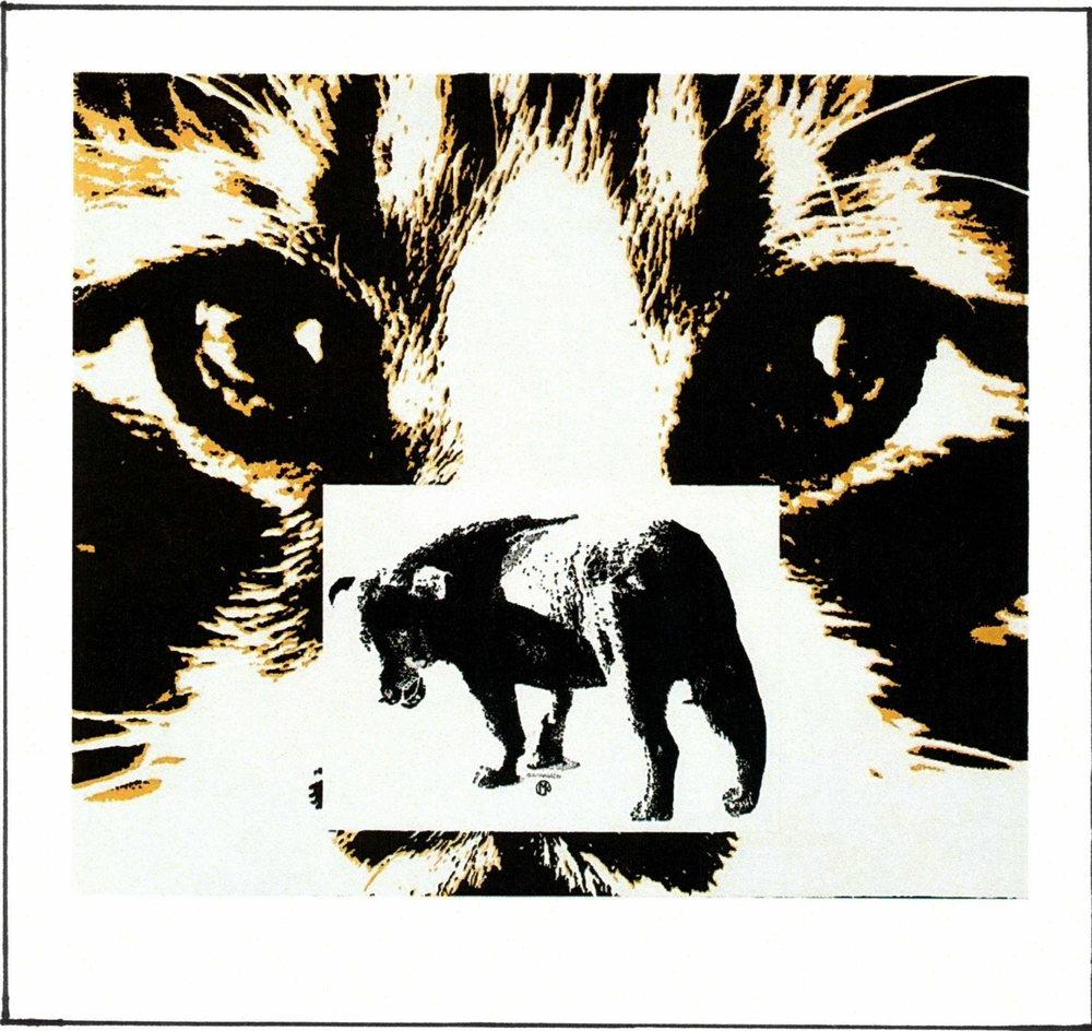 Sine Qua Non Chimere Chateauneuf-du-Pape (1.5 Liter Magnum in OWC) 2019