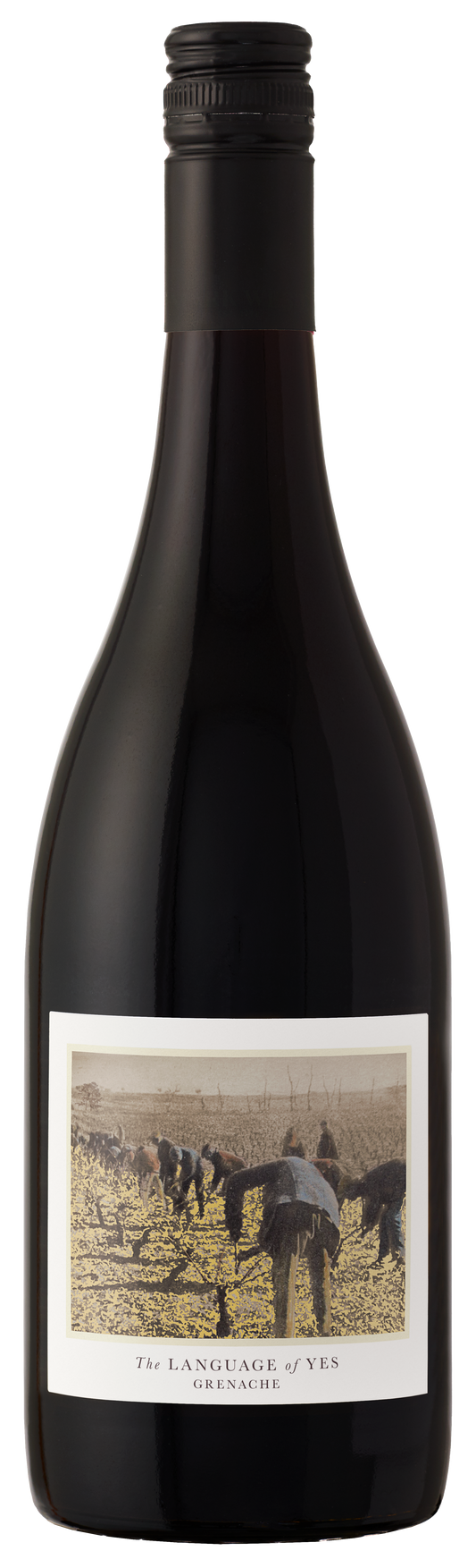 The Language of Yes Grenache 2022  Front Bottle Shot