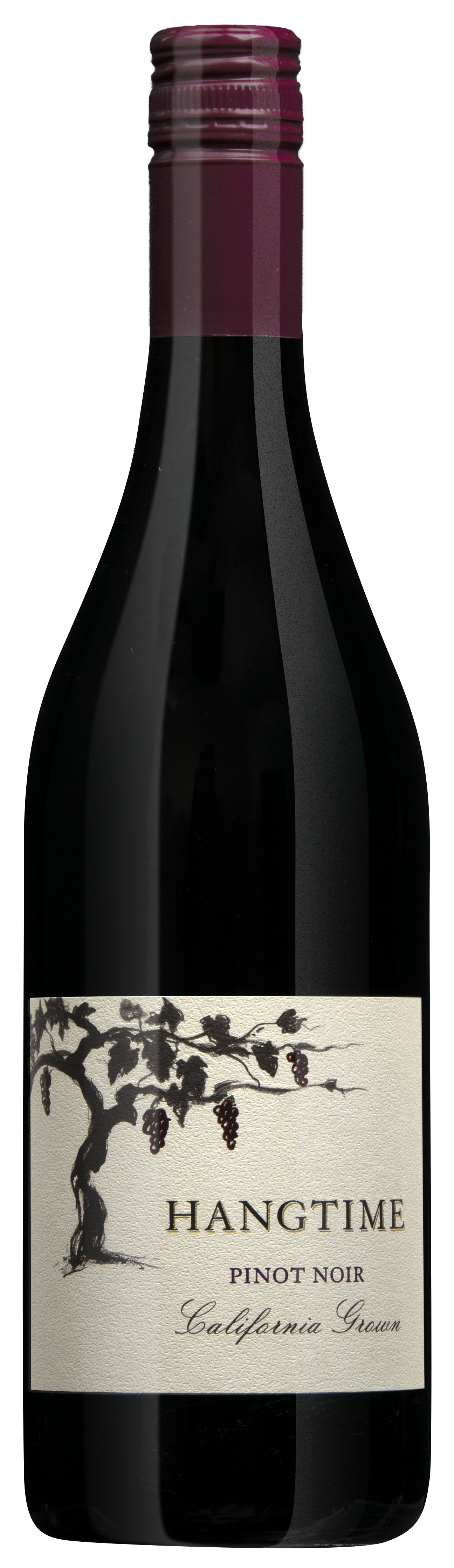 Hangtime Pinot Noir 2023 Front Bottle Shot