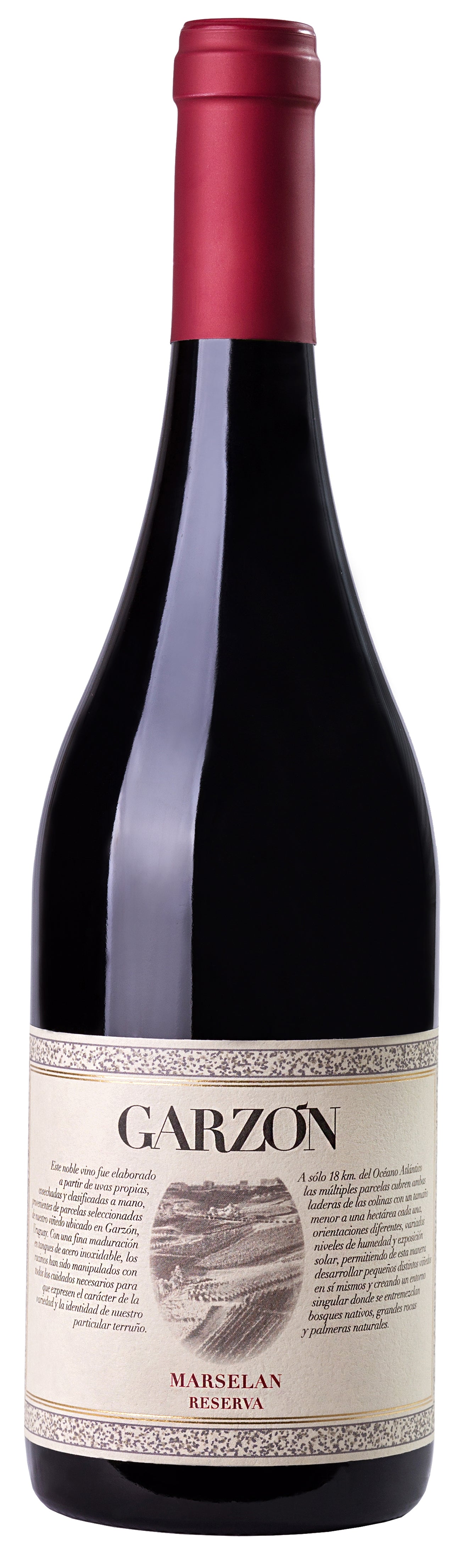 Bodega Garzon Uruguay Marselan Reserva 2020 Front Bottle Shot
