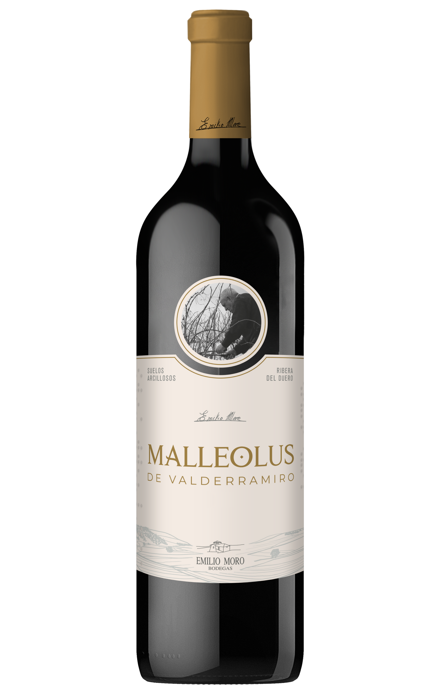 Emilio Moro Malleolus de Valderramiro 2020 Front Bottle Shot