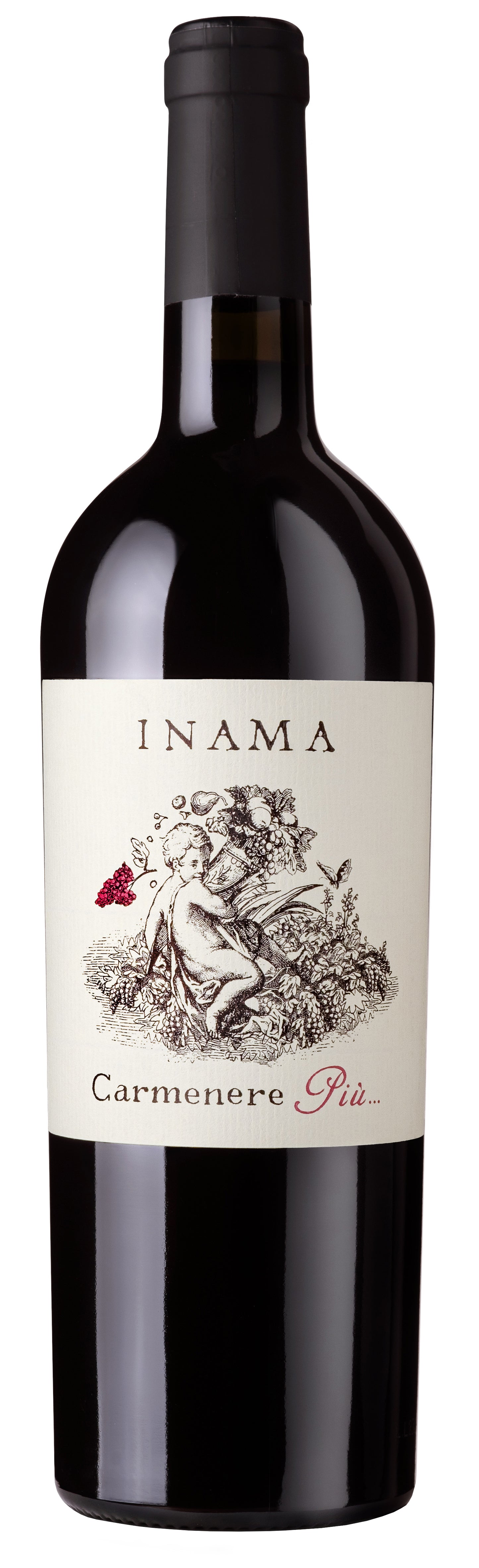 Inama Carmenere Piu 2022 Front Bottle Shot