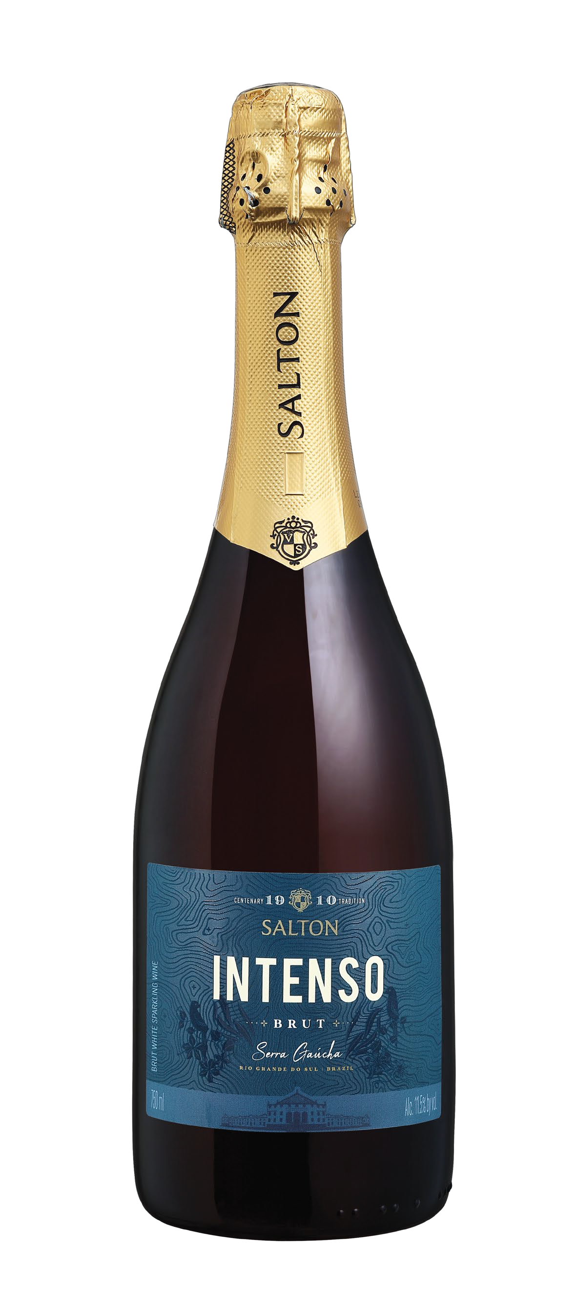 Familia Salton Intenso Brut Front Bottle Shot