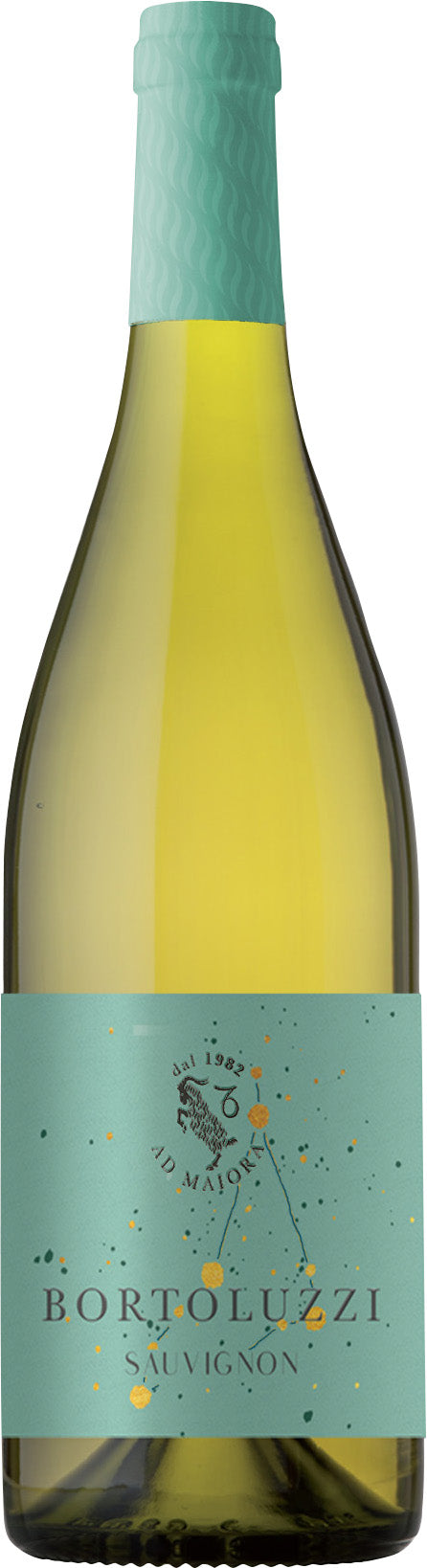 Bortoluzzi Sauvignon 2022  Front Bottle Shot