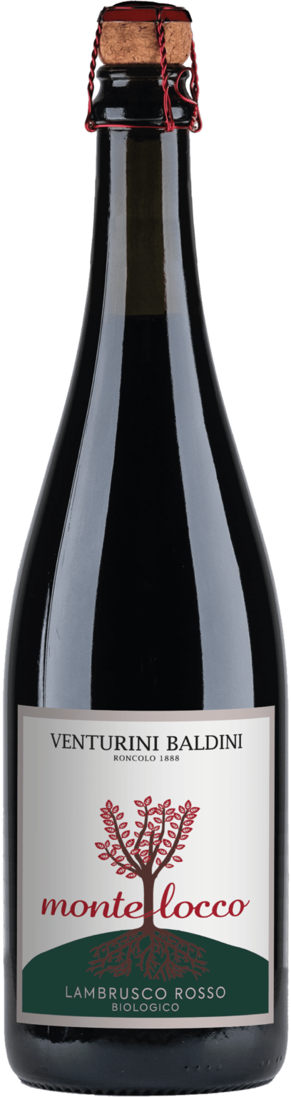 Venturini Baldini Montelocco Lambrusco  Front Bottle Shot
