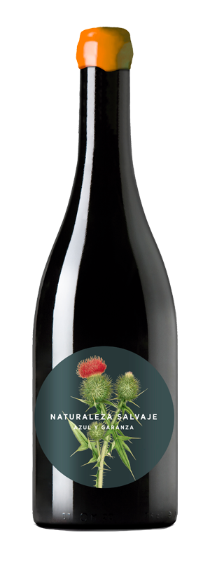 Azul y Garanza Naturaleza Salvaje Blanco 2022  Front Bottle Shot