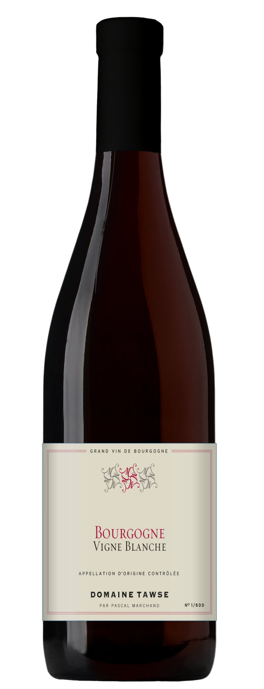 Domaine Tawse Bourgogne Vigne Blanche 2019  Front Bottle Shot