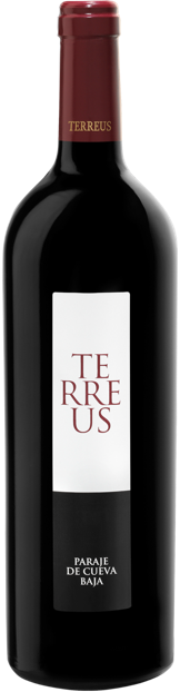 Bodegas Mauro Terreus 2020  Front Bottle Shot