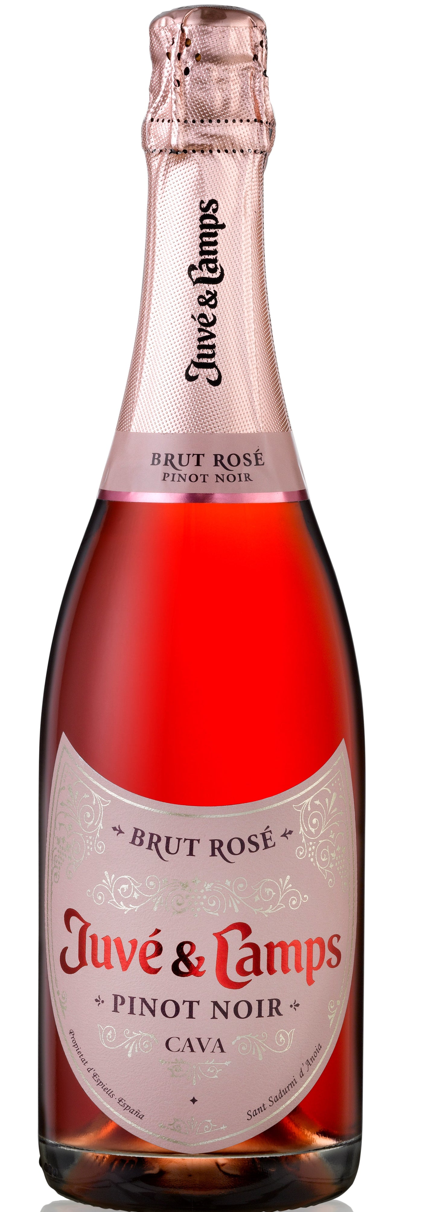 Juve & Camps Pinot Noir Brut Rose  Front Bottle Shot
