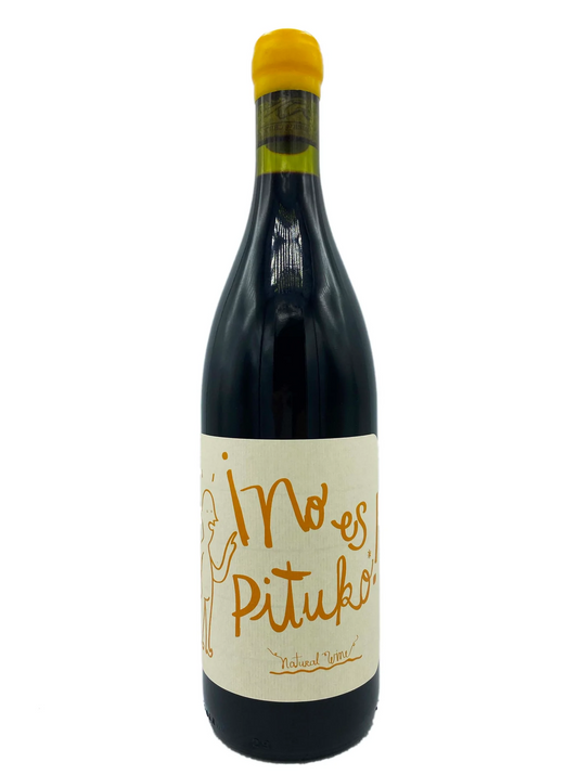 Echeverria No Es Pituko Natural Wine Cabernet Franc 2022  Front Bottle Shot
