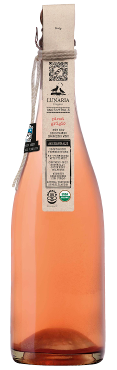 Cantina Orsogna Lunaria Pinot Grigio Pet Nat Ancestrale 2023  Front Bottle Shot