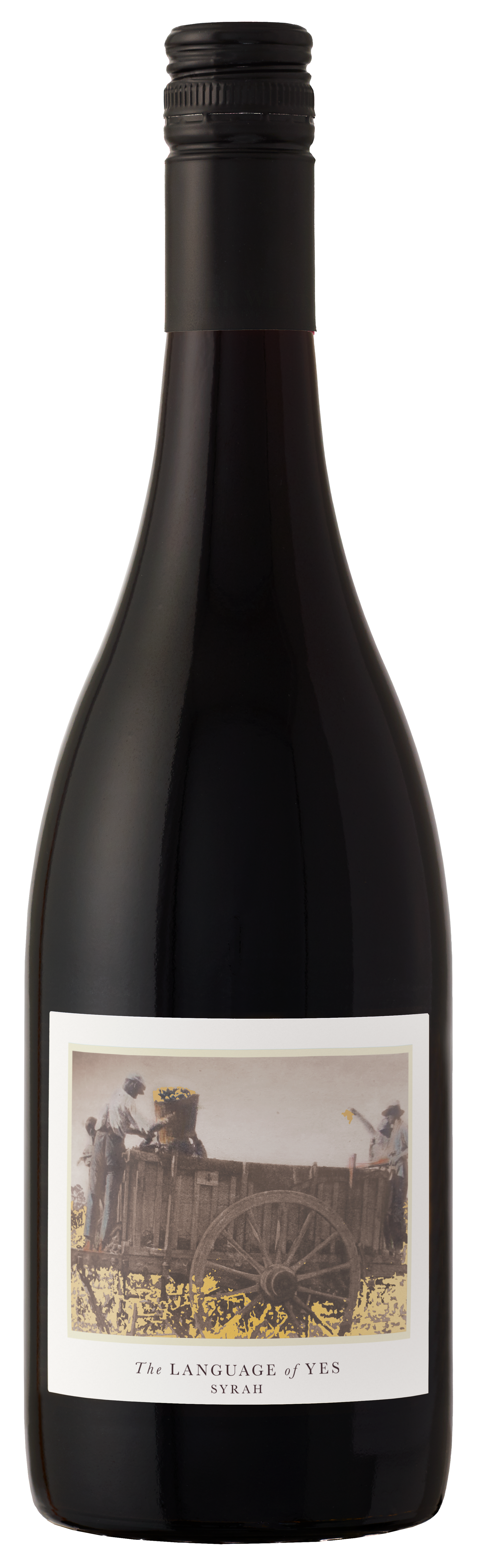 The Language of Yes Syrah 2022  Front Bottle Shot