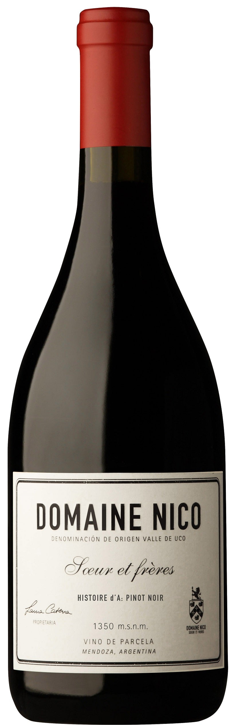 Domaine Nico Histoire d'A Pinot Noir 2022  Front Bottle Shot