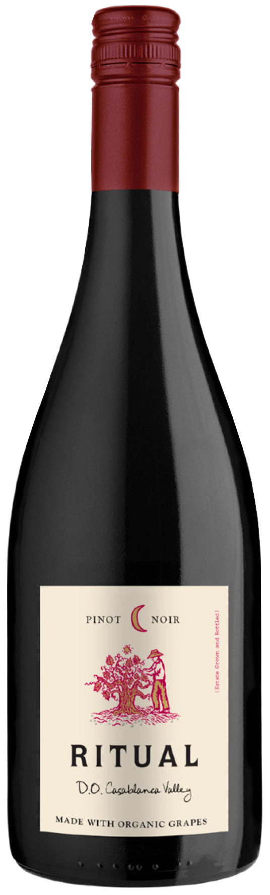 Ritual Casablanca Valley Pinot Noir 2020  Front Bottle Shot