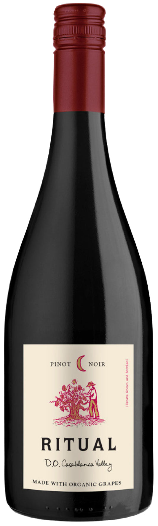 Ritual Casablanca Valley Pinot Noir 2020  Front Bottle Shot