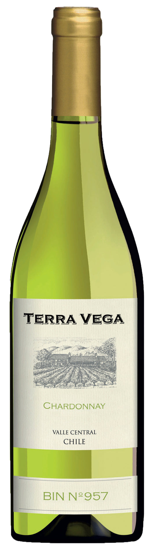 Terra Vega Chardonnay (OU Kosher) 2023  Front Bottle Shot