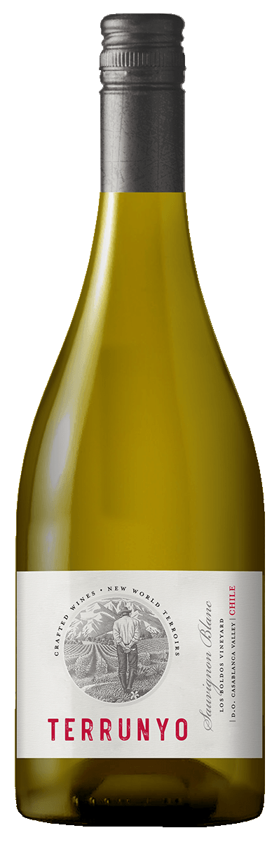 Terrunyo Sauvignon Blanc 2023  Front Bottle Shot