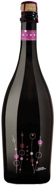 Pederzana Gibe Lambrusco Grasparossa di Castelvetro 2019  Front Bottle Shot