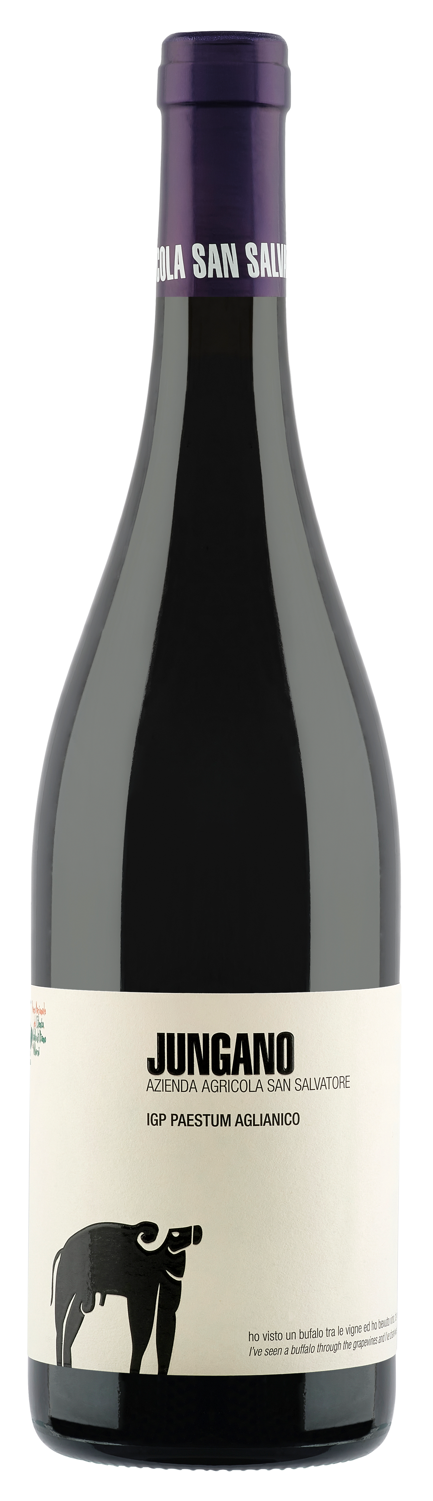 San Salvatore Jungano Paestum Aglianico 2020  Front Bottle Shot