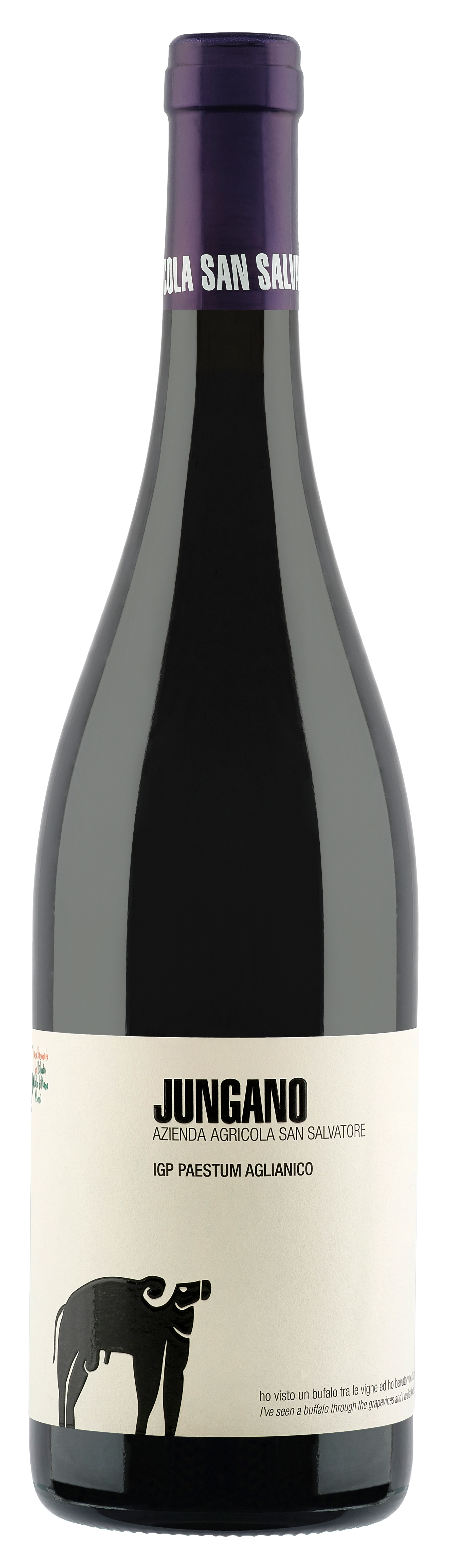 San Salvatore Jungano Paestum Aglianico 2020  Front Bottle Shot