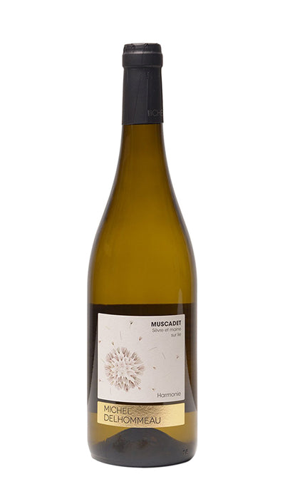 Delhommeau Muscadet de Sevre et Maine Harmonie 2020  Front Bottle Shot
