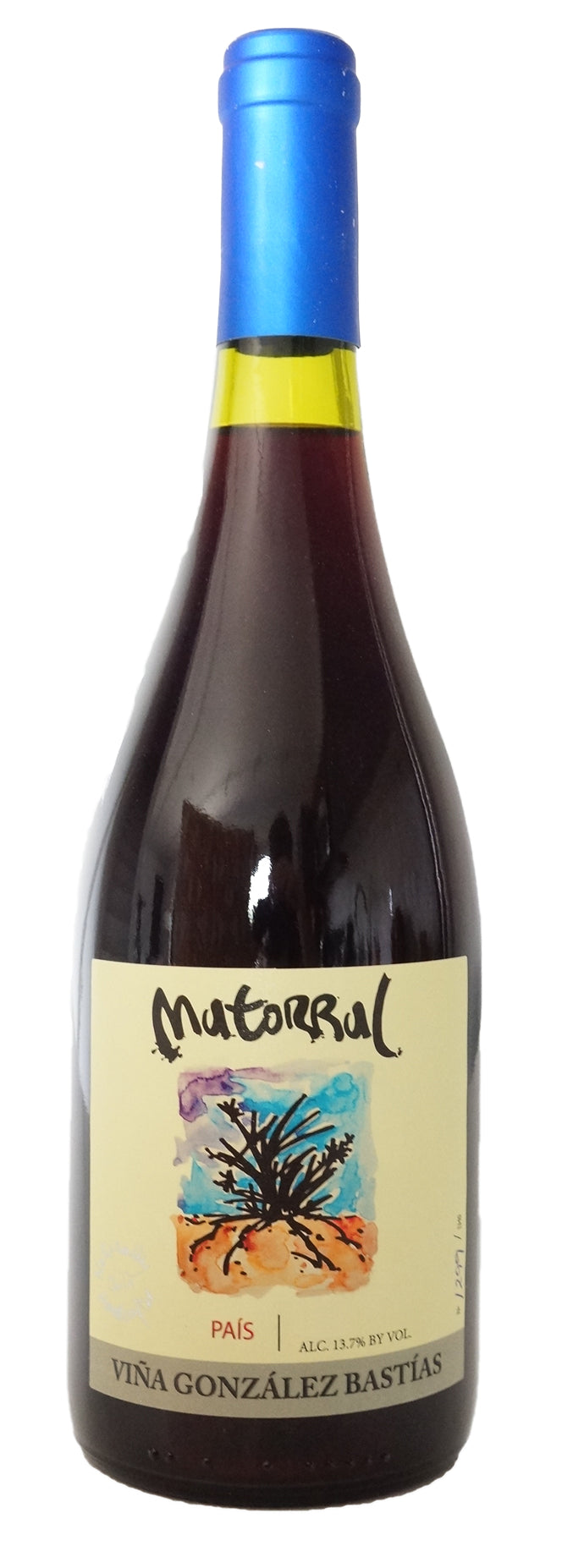 Vina Gonzalez Bastias Matorral 2019  Front Bottle Shot