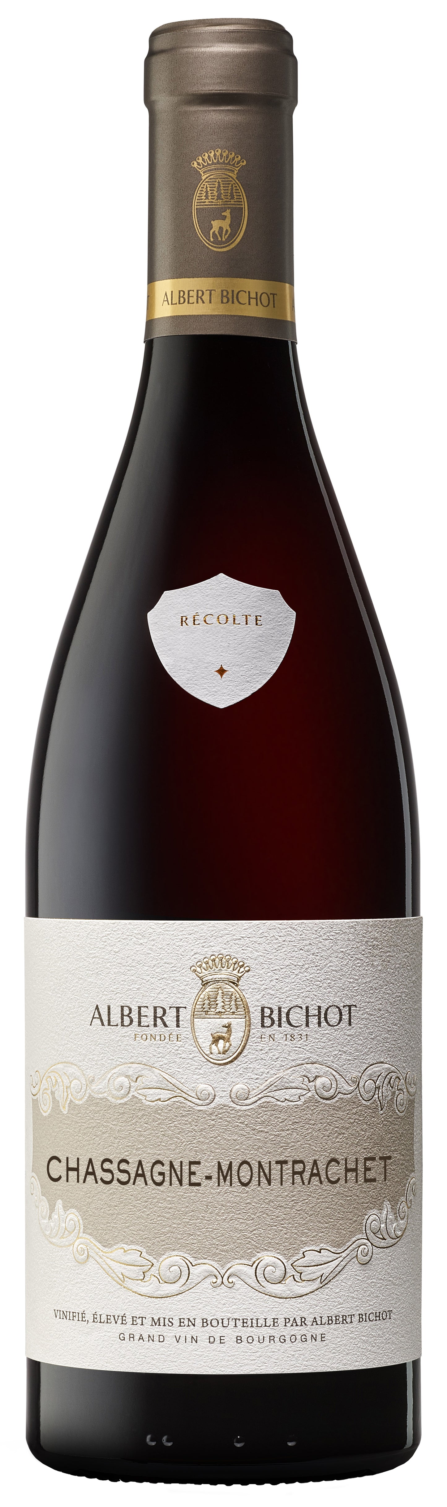 Albert Bichot Chassagne-Montrachet 2022  Front Bottle Shot
