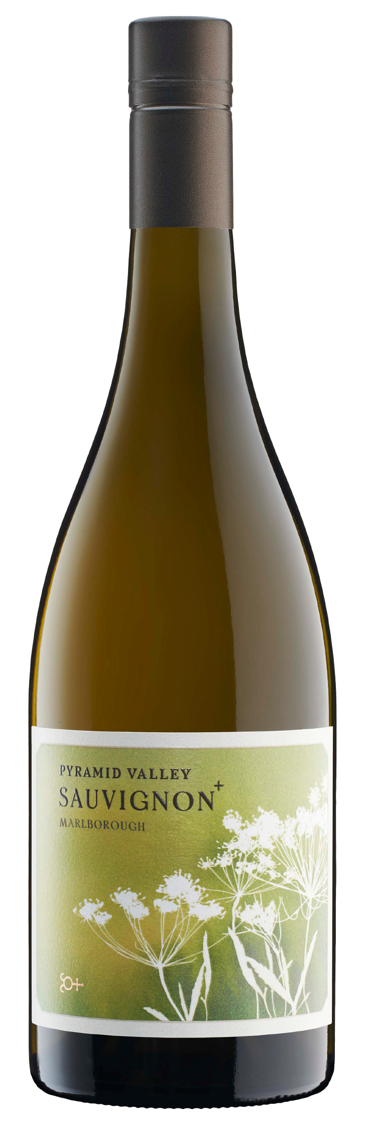 Pyramid Valley Sauvignon Blanc 2023  Front Bottle Shot