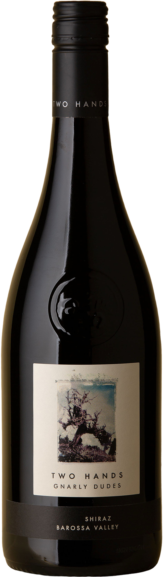 Two Hands Gnarly Dudes Shiraz 2021  Front Bottle Shot
