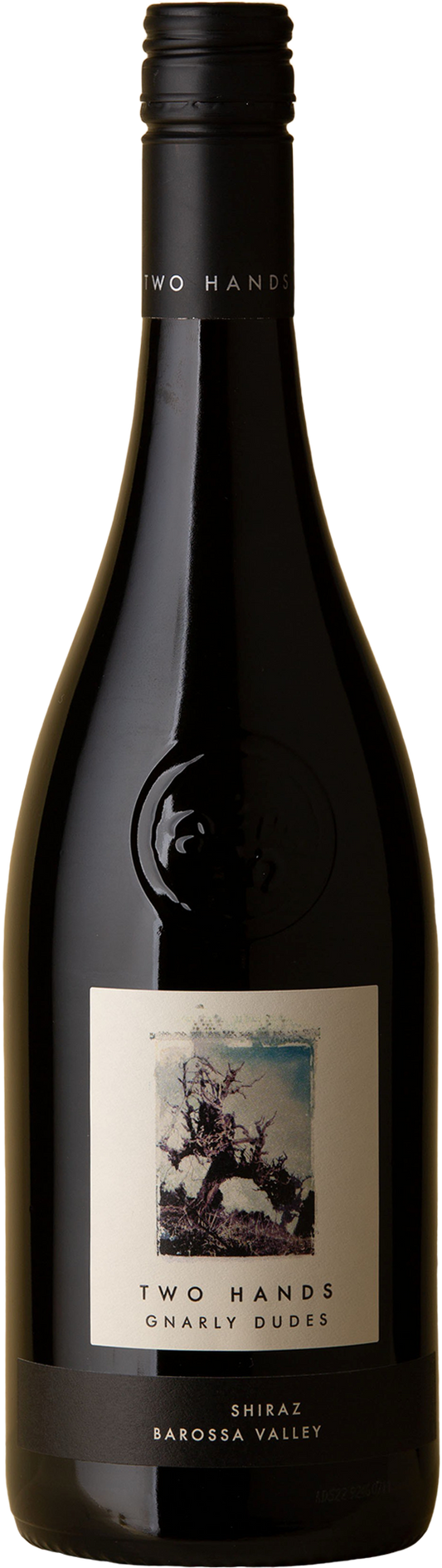 Two Hands Gnarly Dudes Shiraz 2021  Front Bottle Shot
