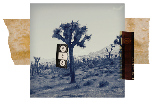 Orin Swift Cellars 8 Years in the Desert (1.5 Liter Magnum) 2021