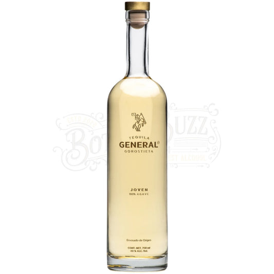 General Teq Gorostieta Joven