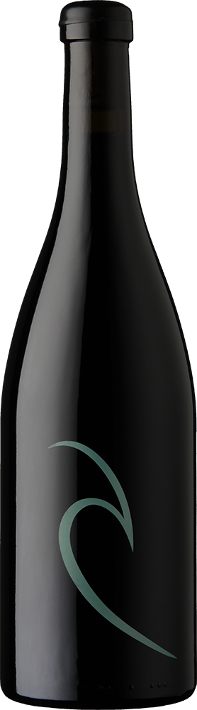 Aaron Wines Trespasser 2021  Front Bottle Shot
