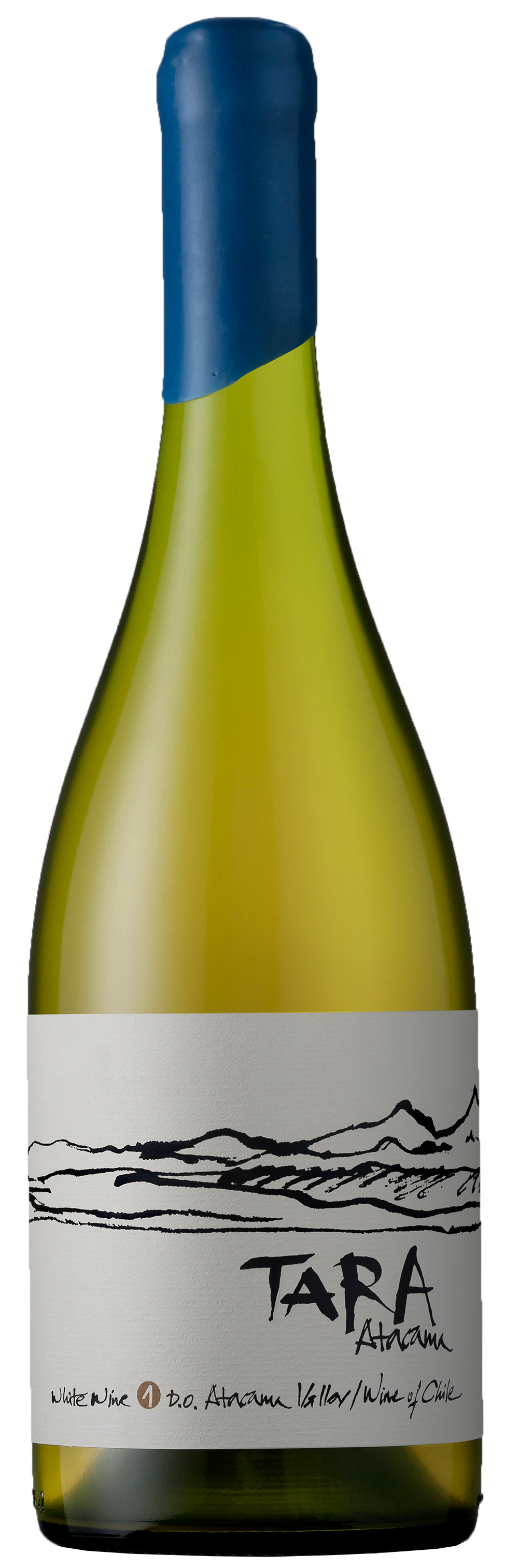 Vina Ventisquero Tara Chardonnay 2021  Front Bottle Shot