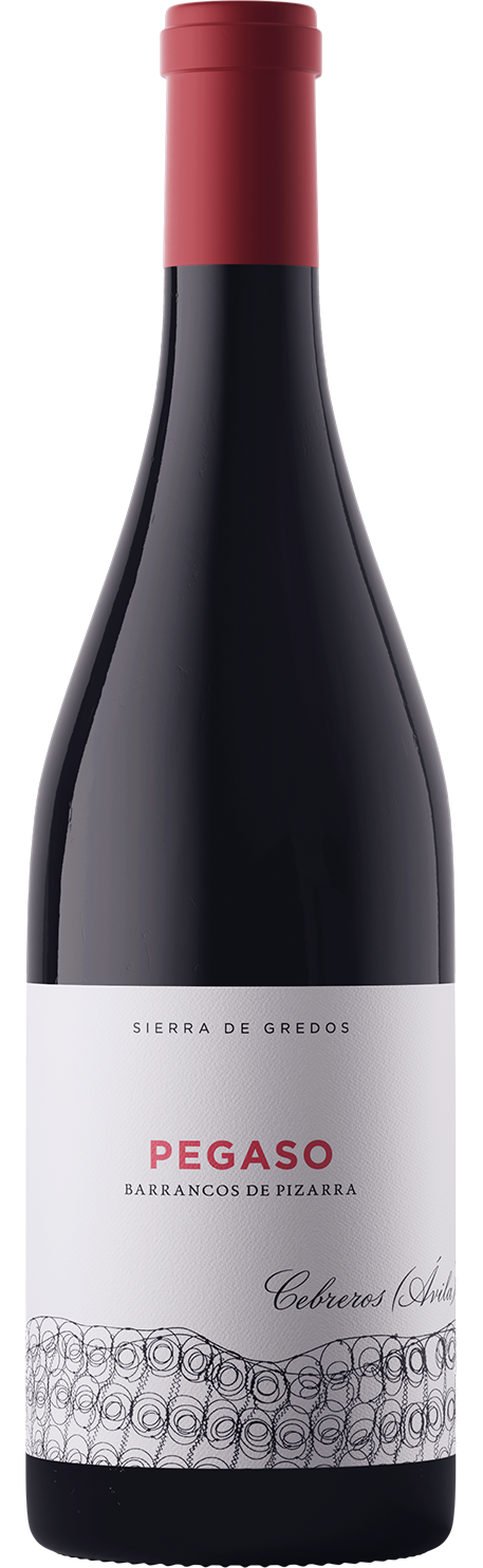 Pegaso Cebreros Barrancos de Pizarra Garnacha 2019  Front Bottle Shot