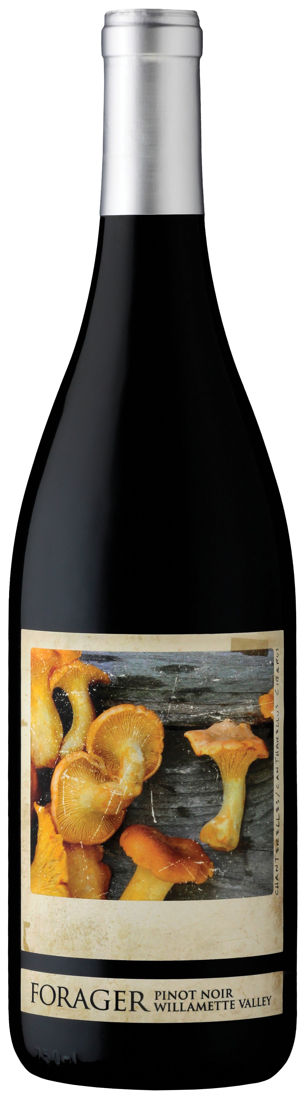 Scenic Root Winegrowers Willamette Valley Forager Pinot Noir 2023  Front Bottle Shot