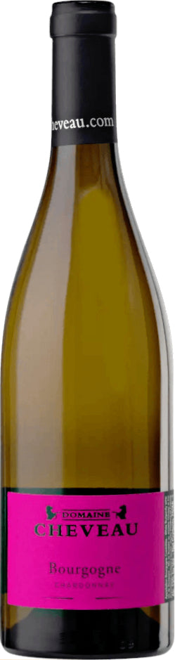 Domaine Cheveau Bourgogne Blanc 2023  Front Bottle Shot