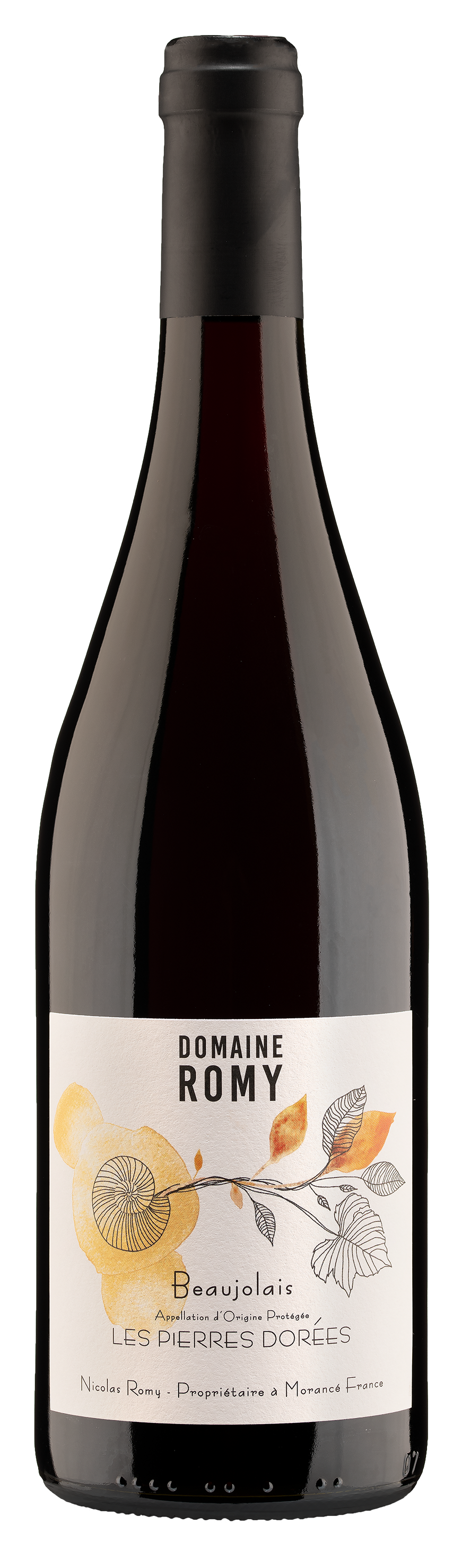 Domaine Romy Beaujolais Les Pierres Dorees Vieilles Vignes 2023  Front Bottle Shot