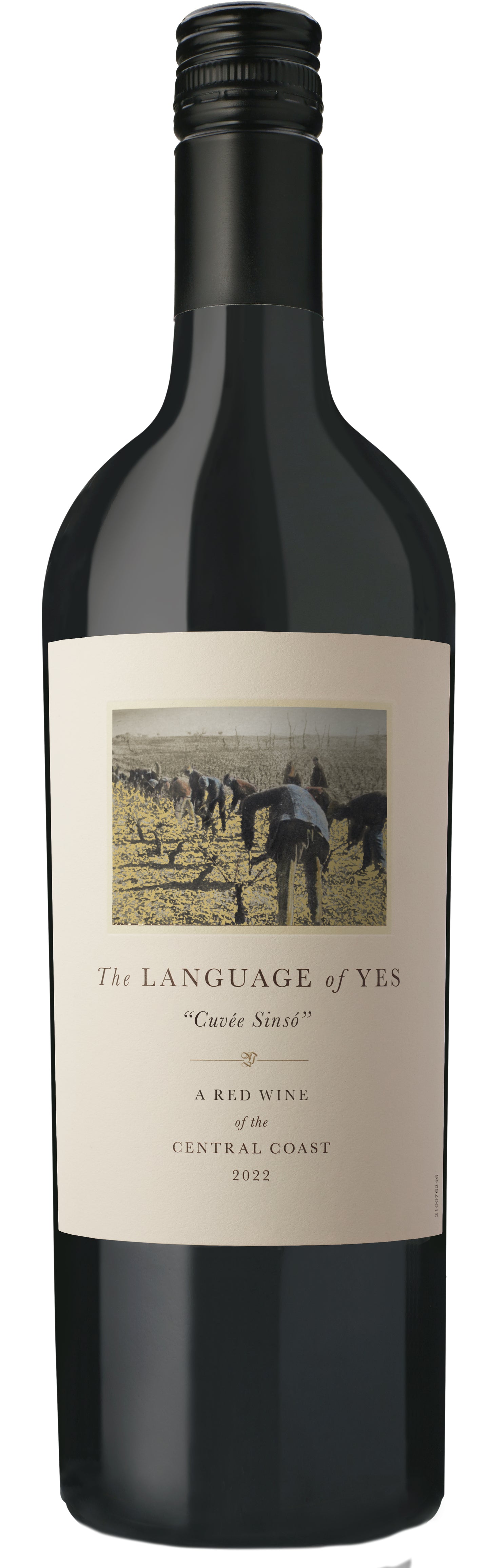 The Language of Yes Cuvee Sinso 2022  Front Bottle Shot