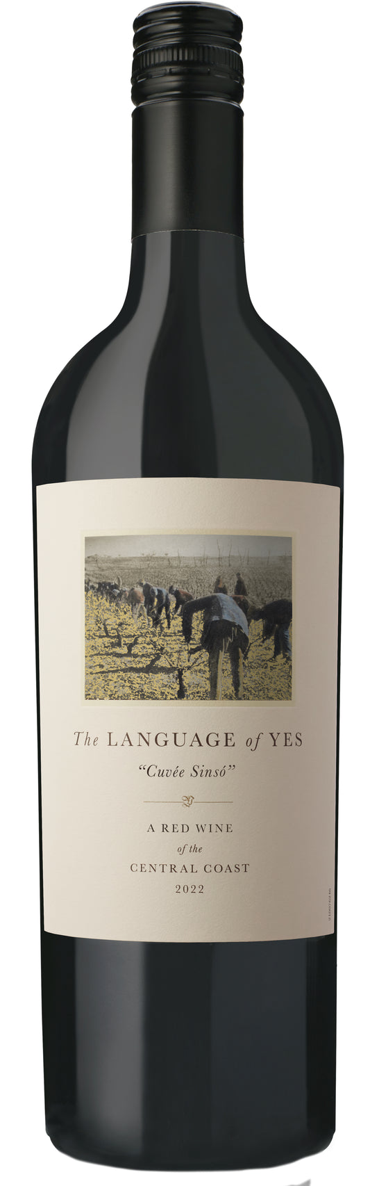 The Language of Yes Cuvee Sinso 2022  Front Bottle Shot