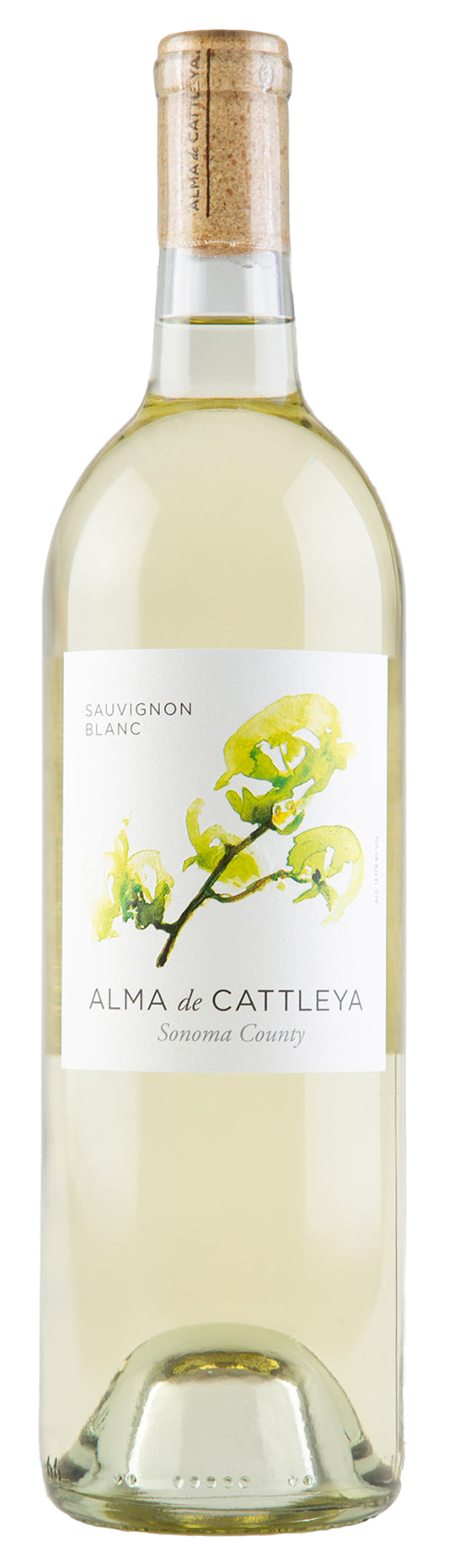 Alma de Cattleya Sauvignon Blanc 2023  Front Bottle Shot