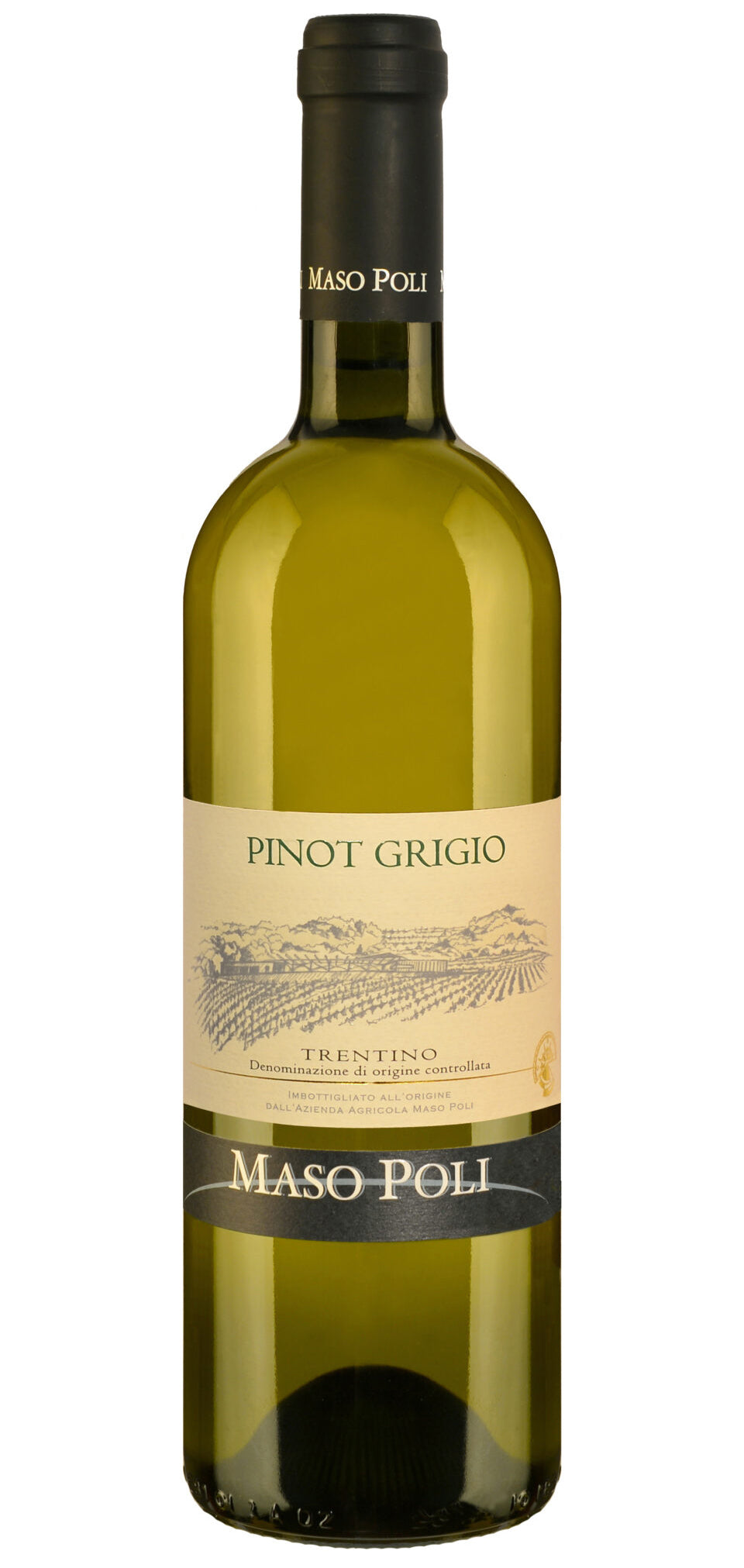 Maso Poli Pinot Grigio 2021  Front Bottle Shot
