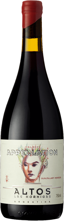 Altos Las Hormigas Gualtallary Malbec 2021  Front Bottle Shot