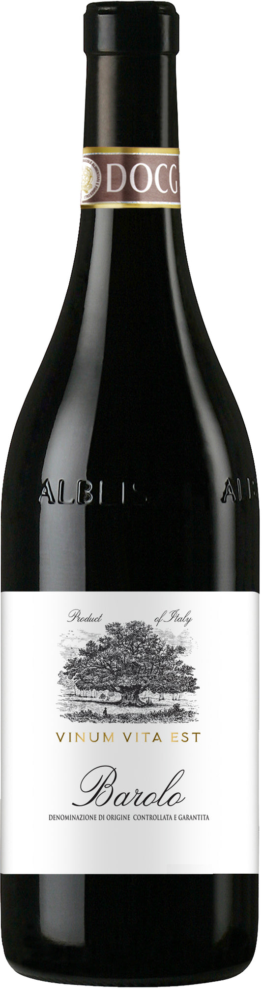 Terre del Barolo Vinum Vita Est Barolo 2017  Front Bottle Shot